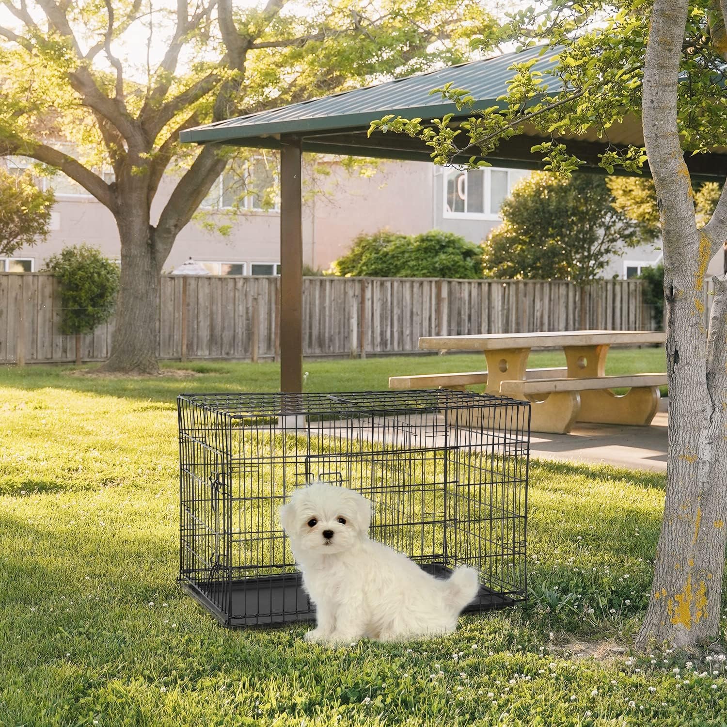 Dog Crate for Small Dogs 24 Inch Folding Metal WirePet Cage Double Door W/Divider Panel Indoor Outdoor Kennel Leak-Proof Plastic Tray,Black - Image 2